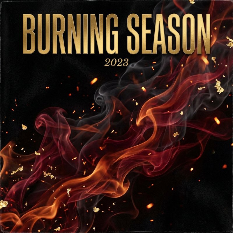 Burning Season album cover